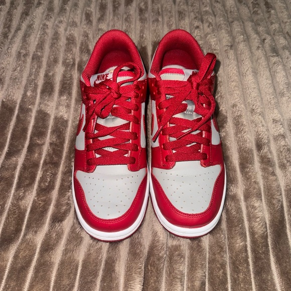 Nike Dunk Low Retro